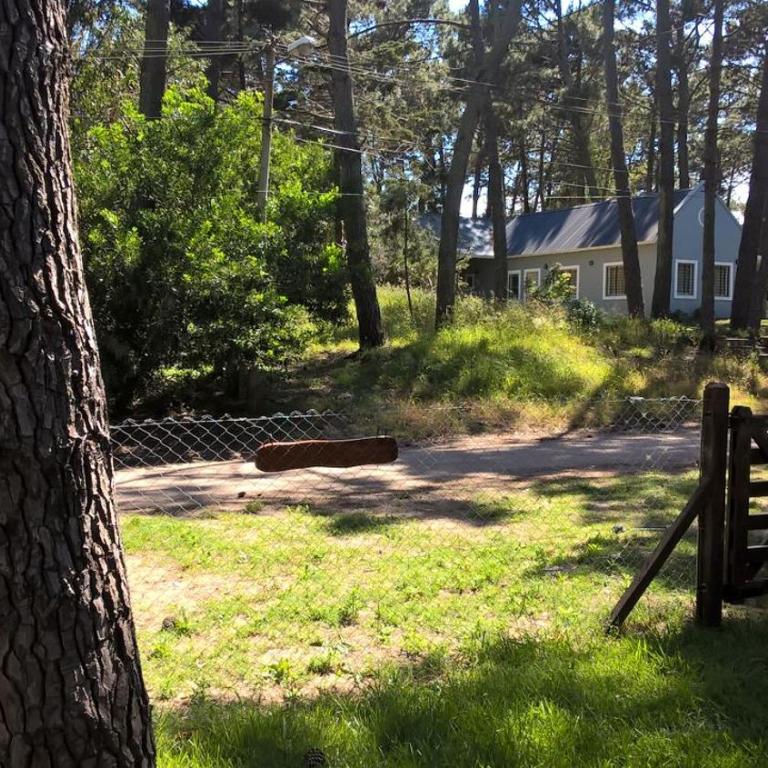 Los Amigos del Pinar - Apartamento con vistas al jardín - 43