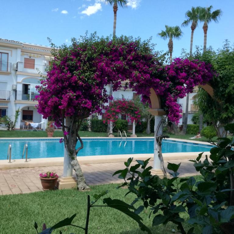 Rincón cerca del mar para nomadas digitalas WF1Gb - Ground Floor Apartment with Pool View - 5