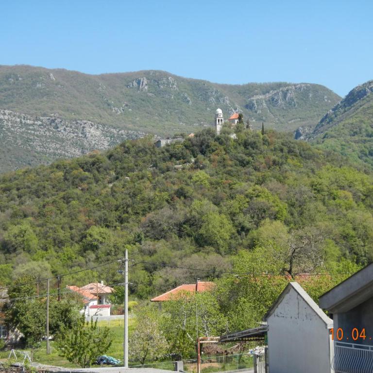 Guest House Villa Živanović - Standard Triple Room - 9
