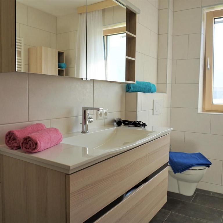 Apart Haun - Apartment - Erdgeschoss - 6