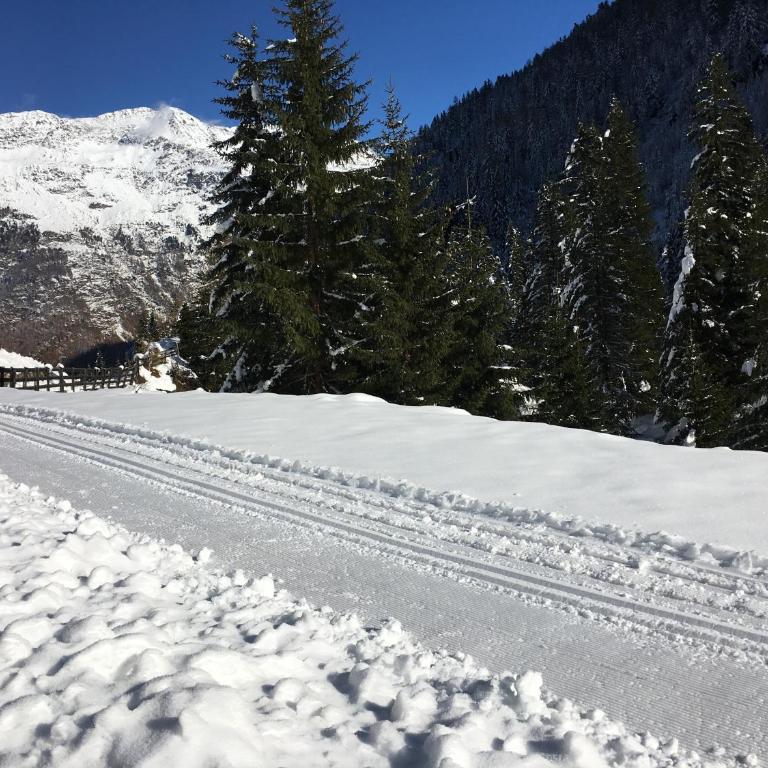 Alpenspirit - Apartamento de 2 dormitorios - 21