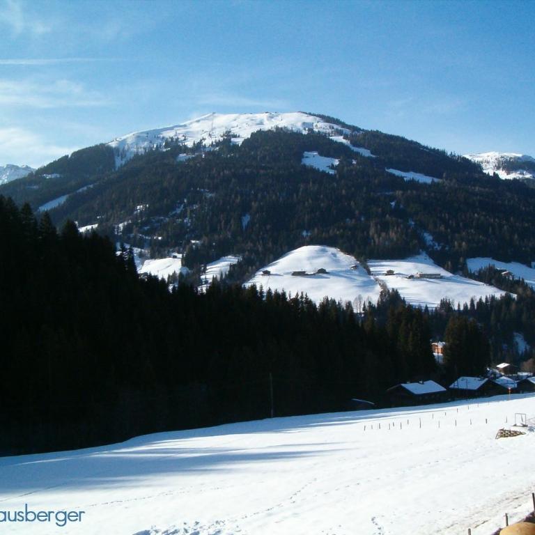 Alpbacher Appartementhaus Johannes - Apartment mit 3 Schlafzimmern - 17