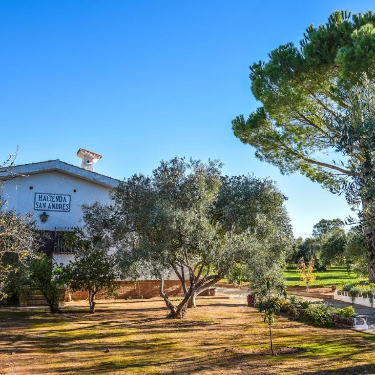 Recreo San Andrés - Casa de 5 dormitorios - 7