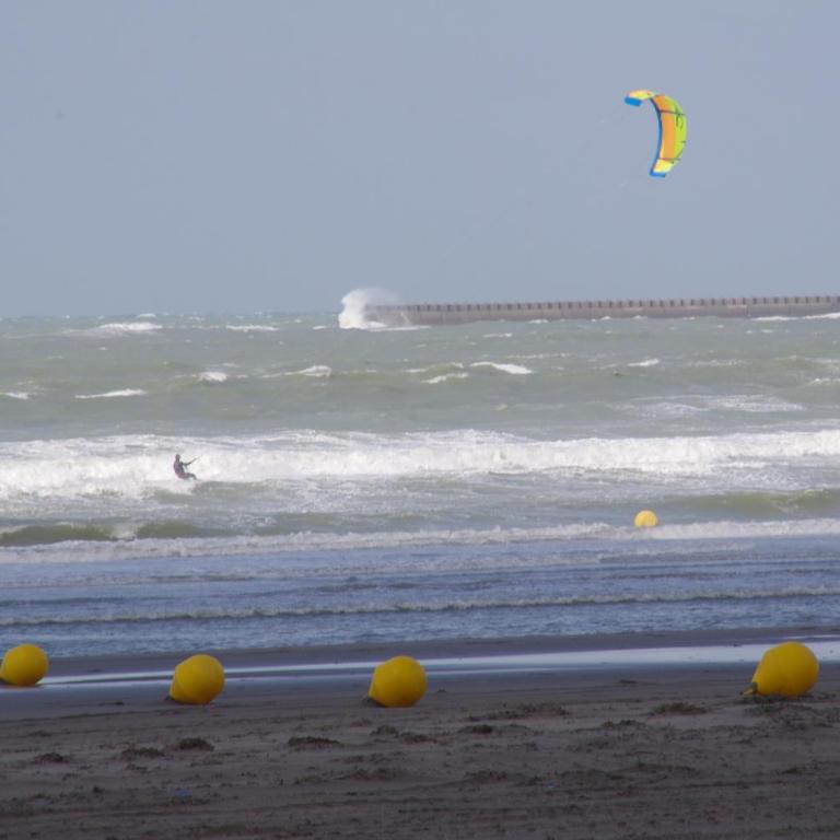 "Les Mouettes" - Appartement - Vue sur Mer - 23