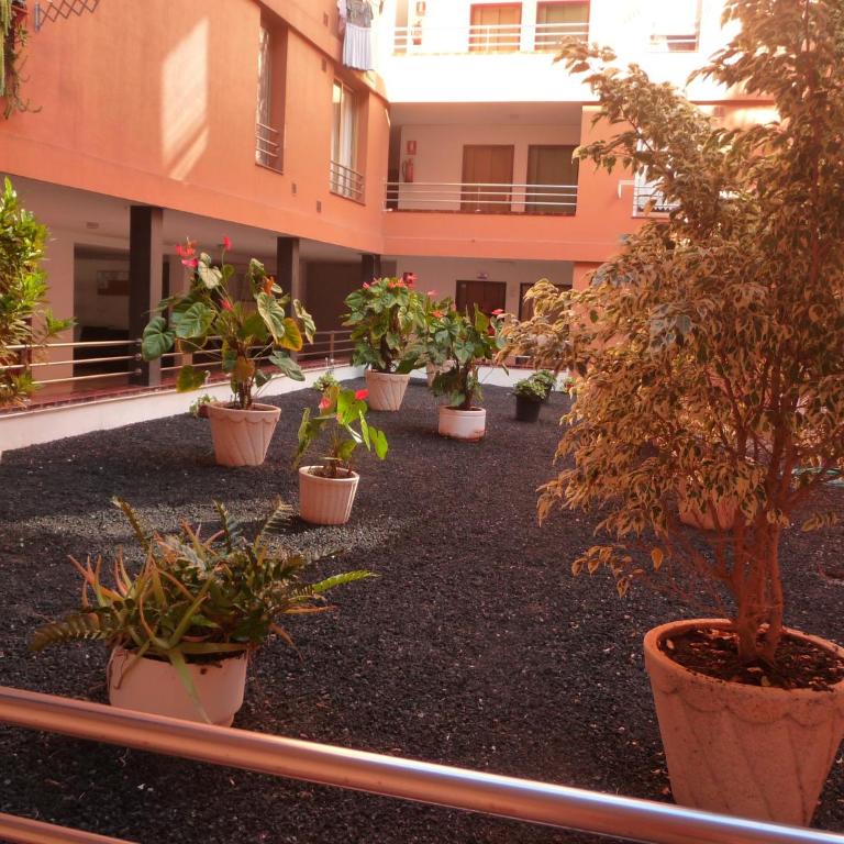 Martianez - Apartamento de 1 dormitorio - 34
