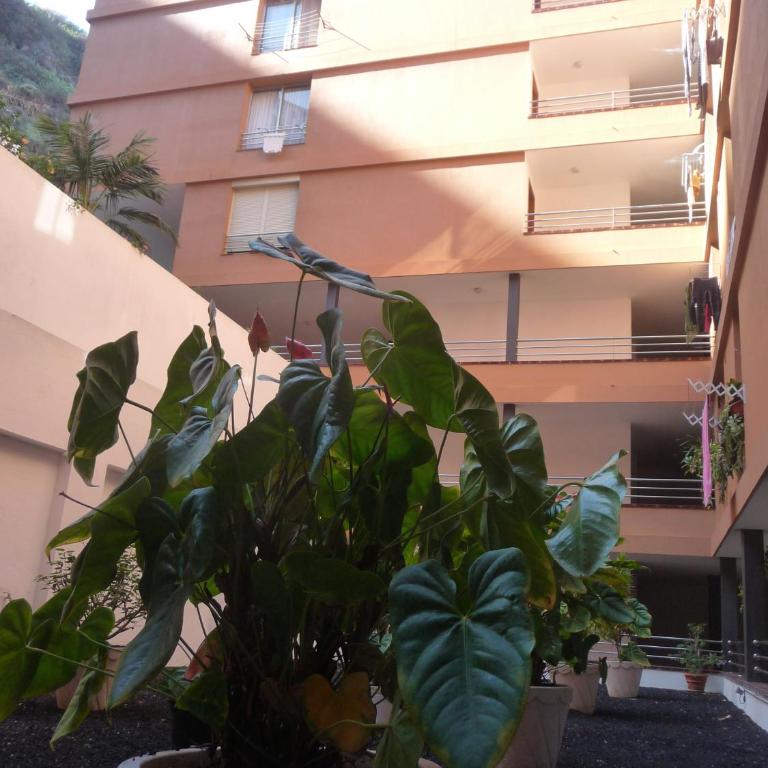Martianez - Apartamento de 1 dormitorio - 35