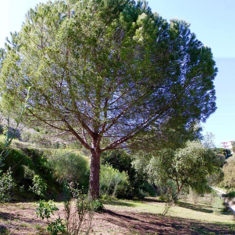 La Coulina - Villa - Vue sur Mer - 32