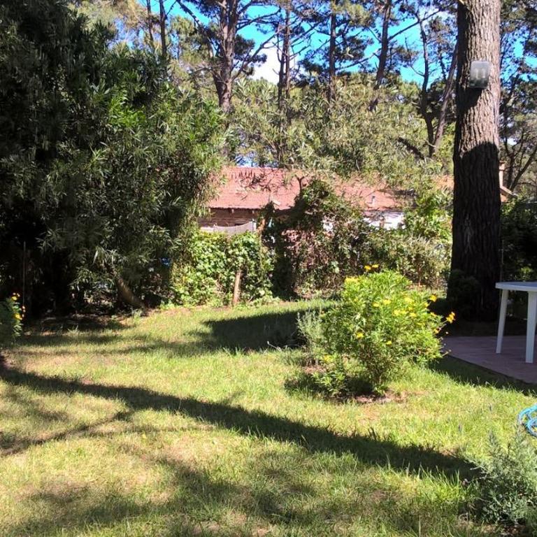 Los Amigos del Pinar - Apartamento con vistas al jardín - 16