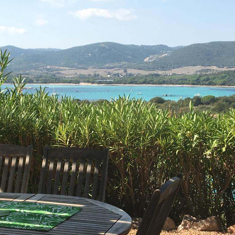 Residence Bellavista à Santa Giulia, proche de la plage et vue mer - Villa 1 Chambre avec Vue sur la Mer - 14