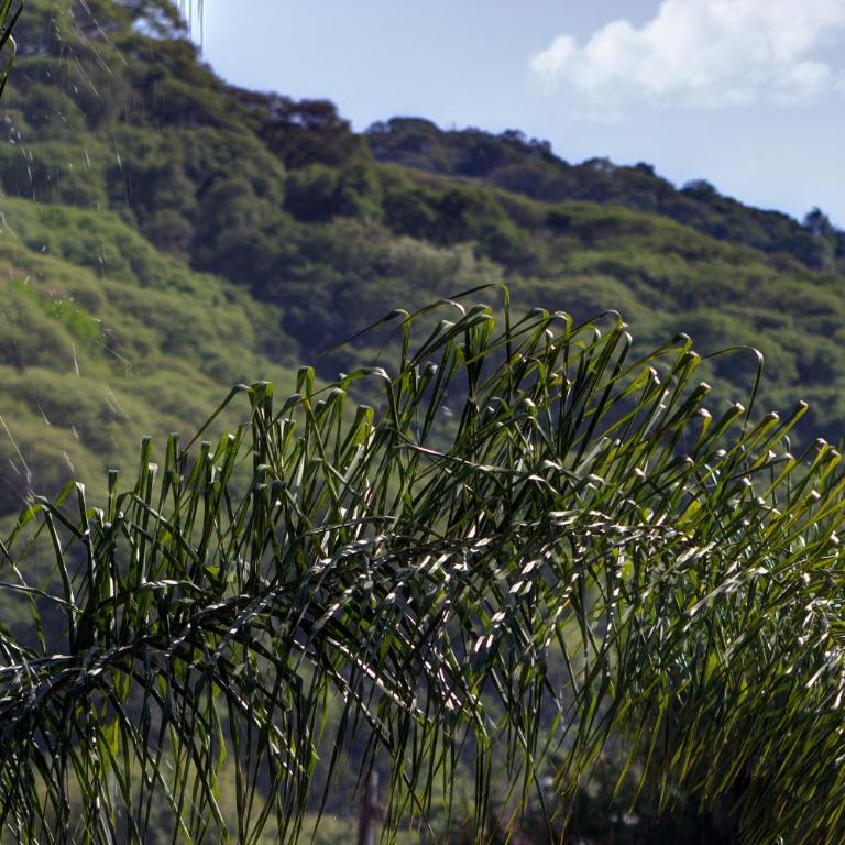 Aguaribay Alquiler Temporario - Apartamento con vistas a las montañas - 18
