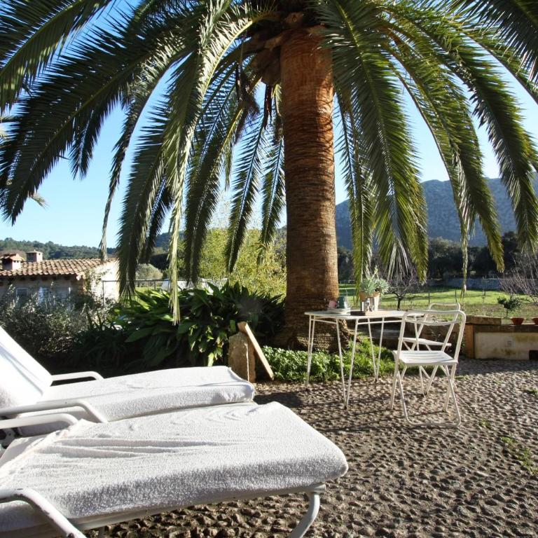 Holiday home Can Pontico - Casa con 1 dormitorio - 3