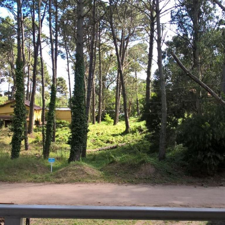 Los Amigos del Pinar - Apartamento con vistas al jardín - 13