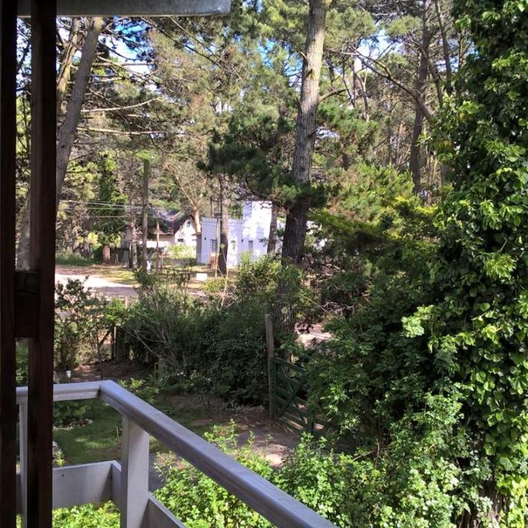 Los Amigos del Pinar - Apartamento con vistas al jardín - 14