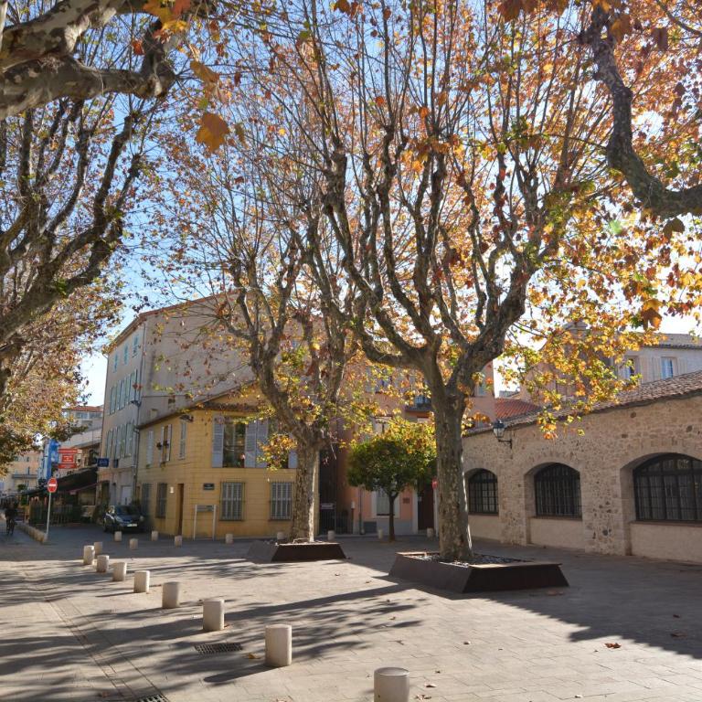 Hanna-Logis - Appartamento Superior - 14