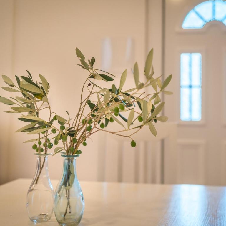Becici Summer Apartments - Three-Bedroom Apartment with Balcony - 5