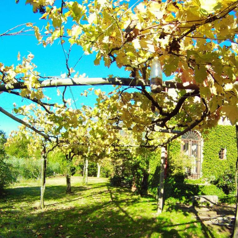 Iorio's Country House - Vacation Home - 10