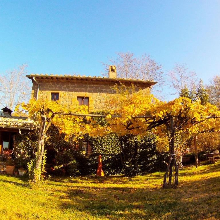 Iorio's Country House - Vacation Home - 8