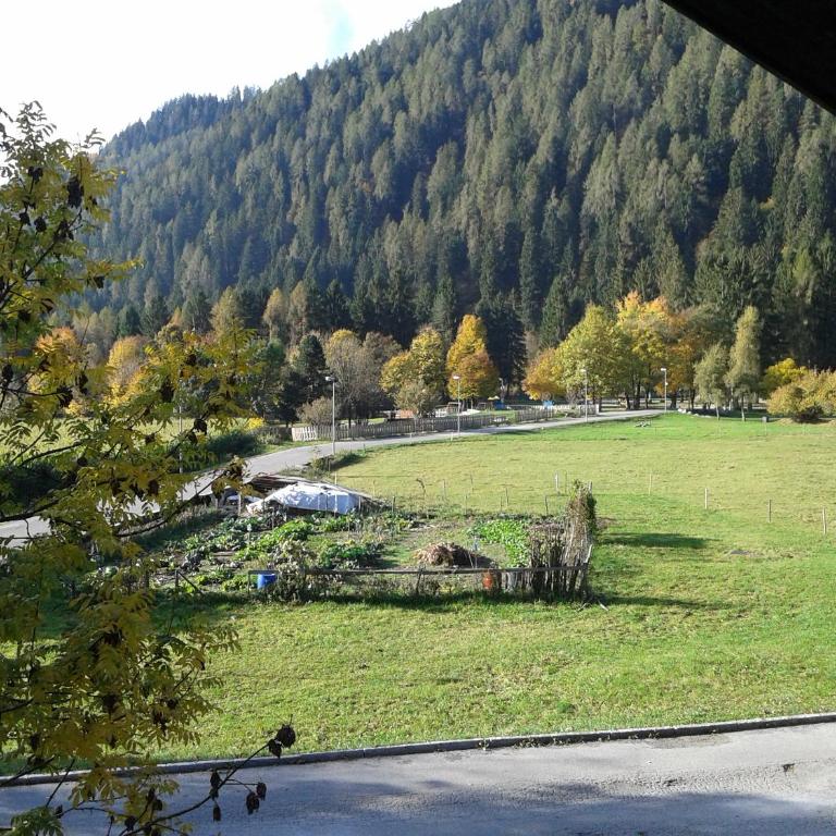 Appartamento Seppi Stile Trentino - Apartment mit 2 Schlafzimmern - 19