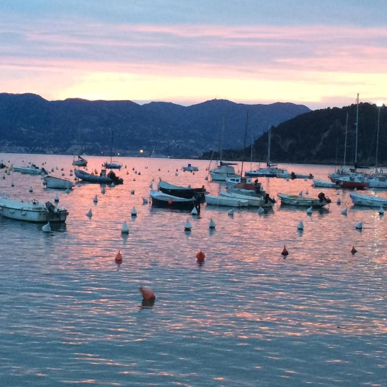 Very nice flat in Lerici 5 terre Villa Aurora in centro con parcheggio - Appartamento Standard - 15