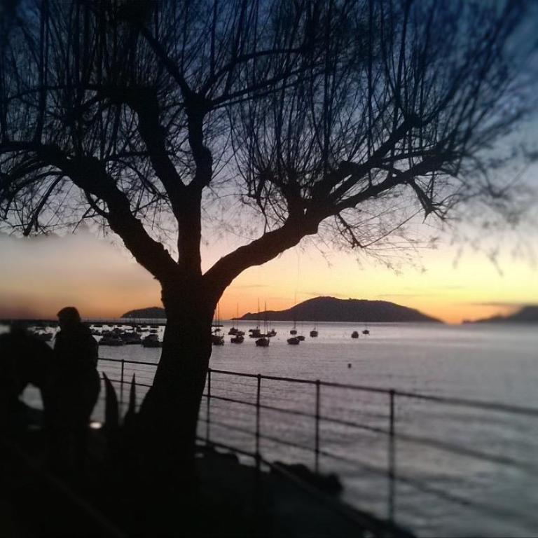 Very nice flat in Lerici 5 terre Villa Aurora in centro con parcheggio - Appartamento Standard - 9