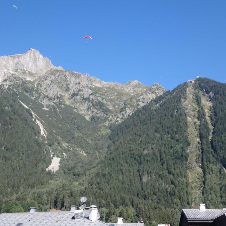 Chamonix IRIS - Appartamento su 2 Livelli - 19