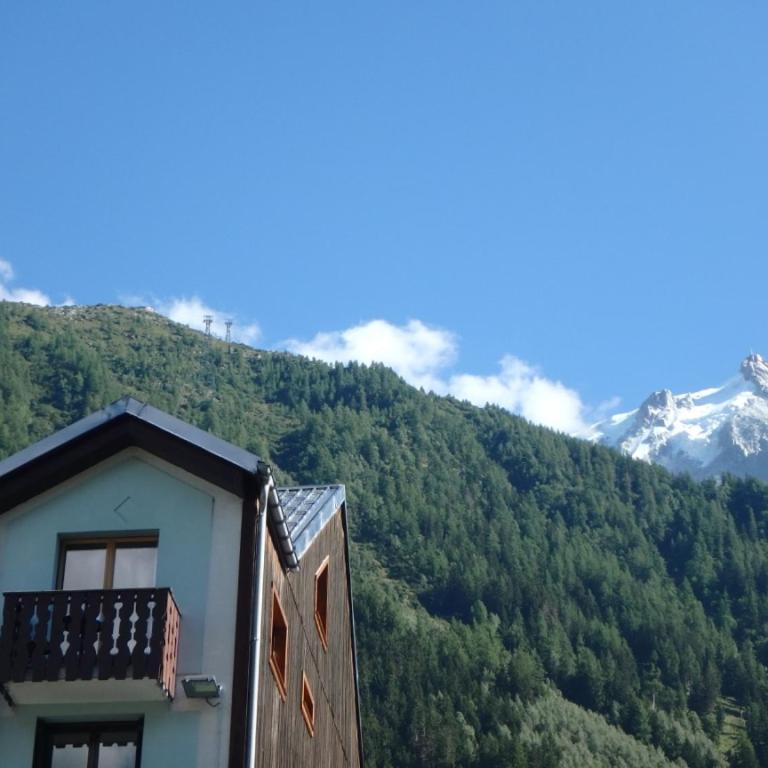 Chamonix IRIS - Appartamento su 2 Livelli - 21