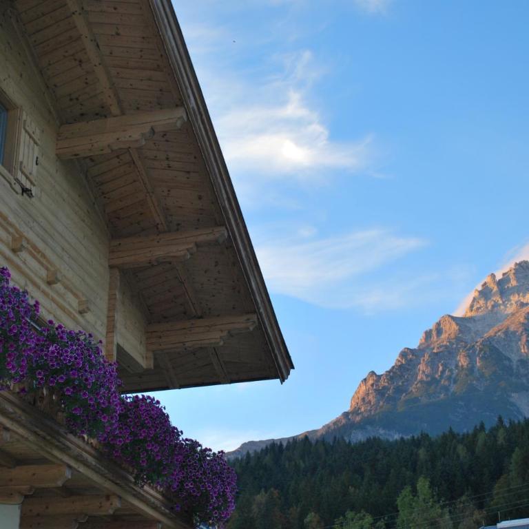 Appartement Haus Pichler - One-Bedroom Apartment - 5