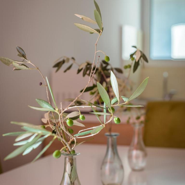 Becici Summer Apartments - Three-Bedroom Apartment with Balcony - 4