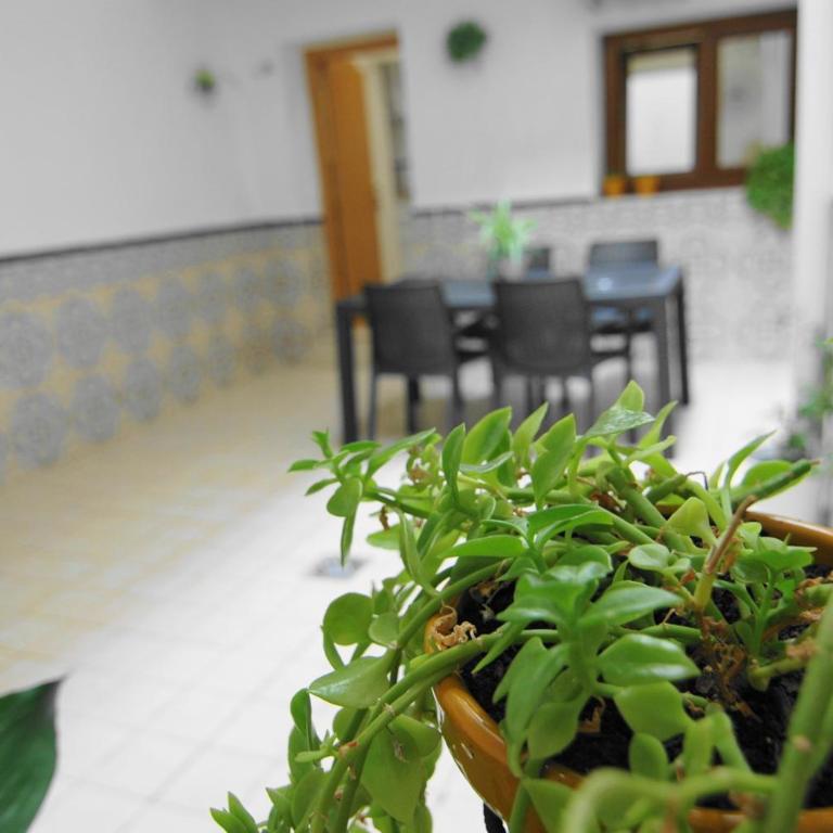 Apto El Clavo-CON PARKING GRATIS - Apartamento de 1 dormitorio - 44