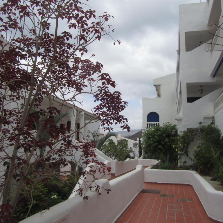 Los Cristianos modern studio - Apartamento Estudio - 20