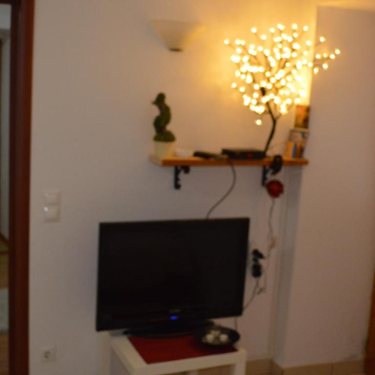 Apartment Aleksandar - Apartment - Ground Floor - 27