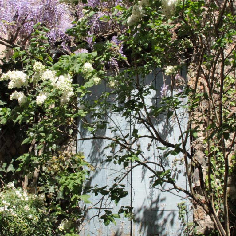 l'Atelier de Saint-Just - Studio avec Vue sur Jardin - 19