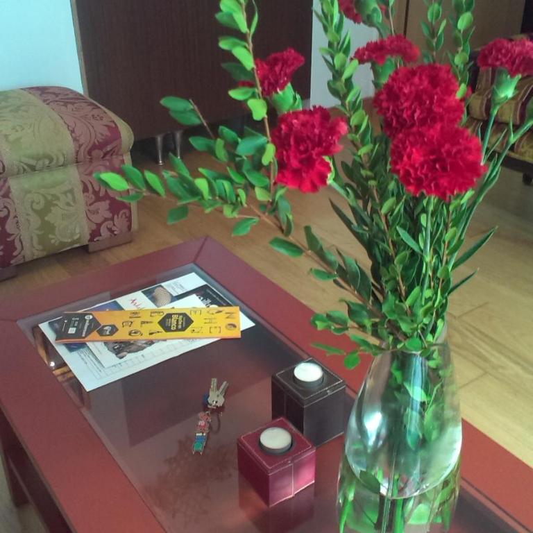 Apartamento Calle Cuna - Apartment - 11