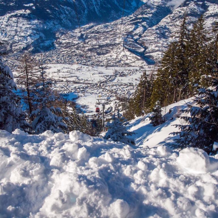 Chalet Silberdistel - Apartment mit Blick auf die Berge - 10