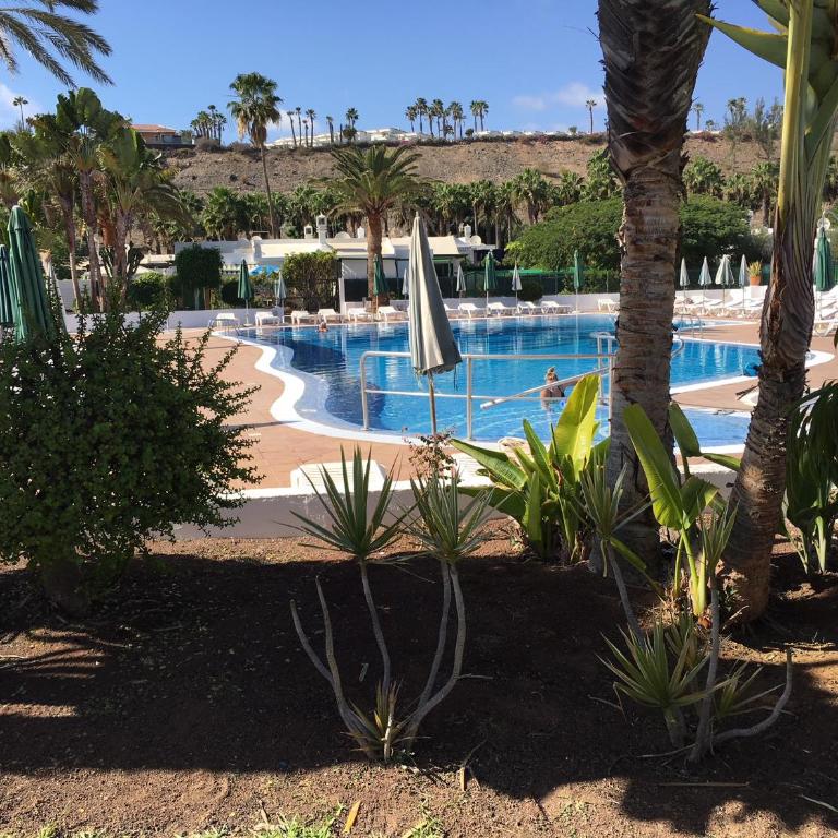Beach Flor Bungaló 42 La Gema del Sur - Apartamento con terraza - 91