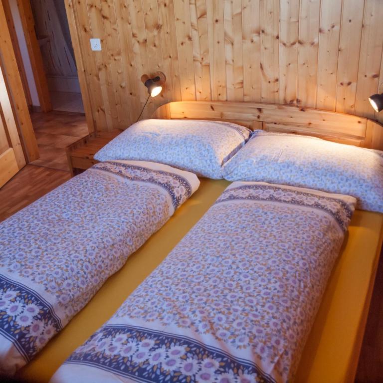 Chalet Skilift - Apartment mit Blick auf die Berge - 10