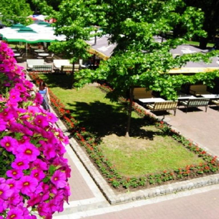 Apartman Lili - Apartment - 1