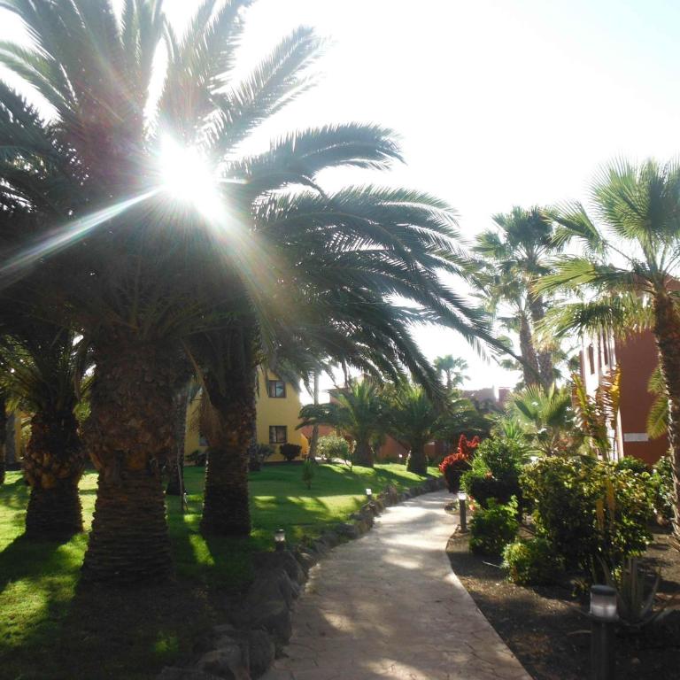 Oasis vistamar - Apartamento con vistas al mar - 18