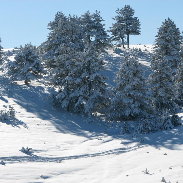 Chalet Four Seasons - Koliba - 45