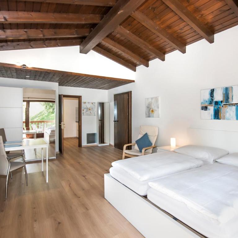 Centro Cadro Panoramica - Studio with Balcony and Air-Conditioning - 6
