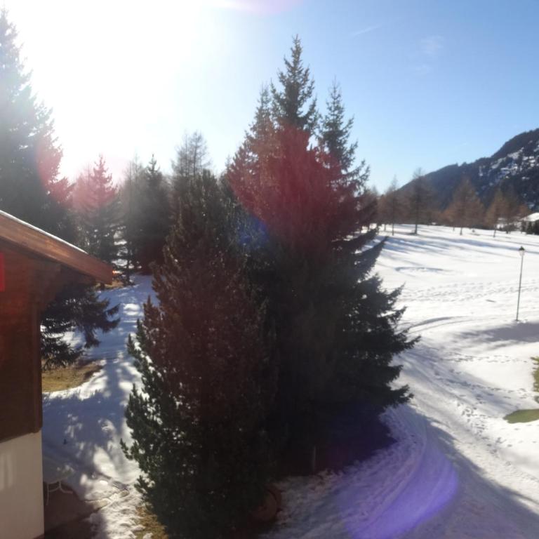 Alpenresort B22 - Apartment - 4