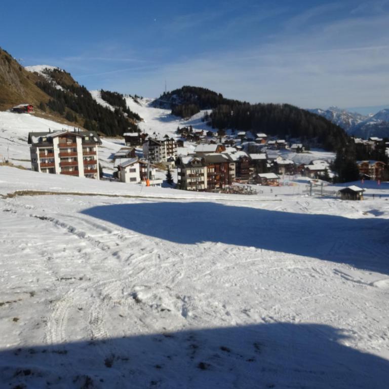 Alpenresort B22 - Apartment - 3