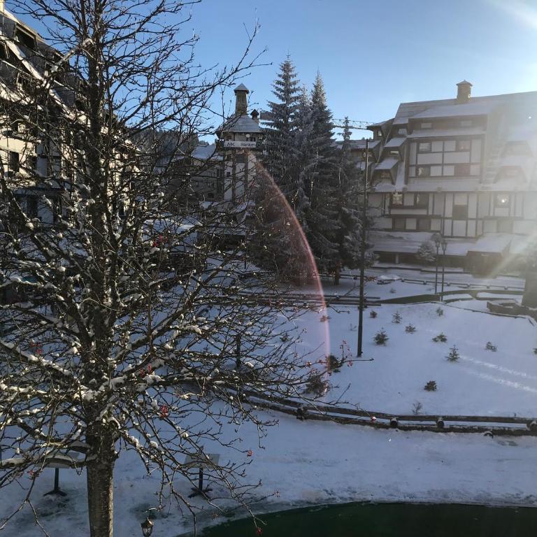 Apartments Suncani Vrhovi Kopaonik - Two-Bedroom Apartment - 8