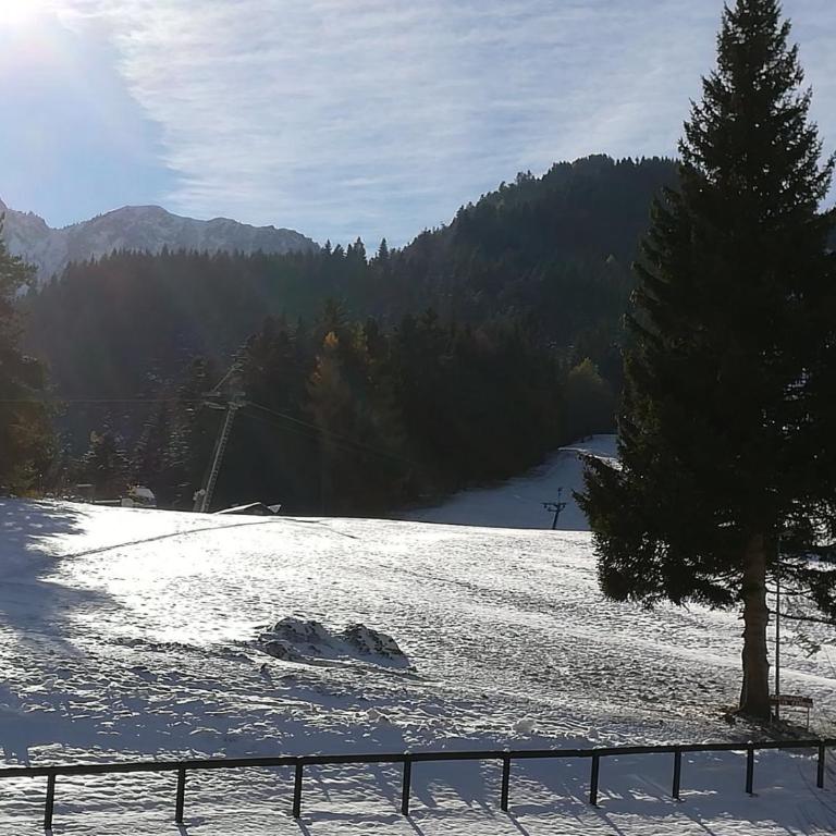 Romantic Chalet-Style Flat with Mountain View - Apartment mit Blick auf die Berge - 46