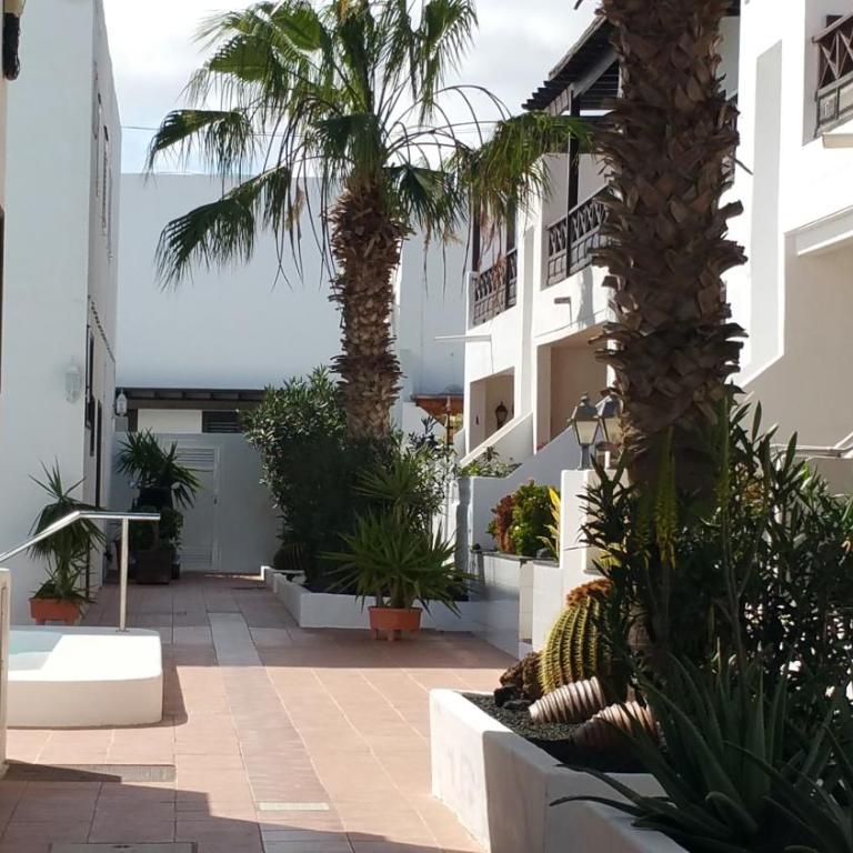 Casa Jameos - Apartamento de 2 dormitorios con terraza y vistas al mar - 26