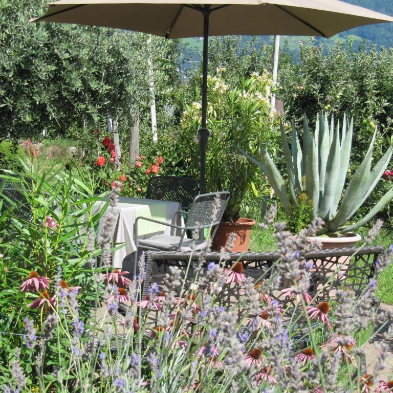 Hotel & Residence Rebhof - Appartamento con Terrazza - 5