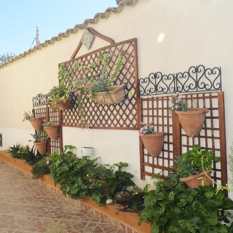 Villa Maddalusa - Casa con 3 Camere da Letto - 31