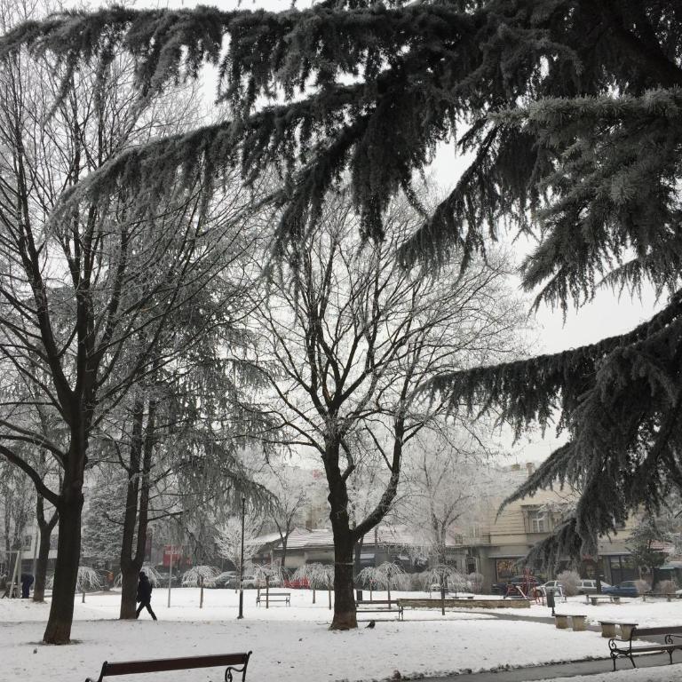 Luxury Penthouse in Central Belgrade - Penthaus Apartman - 23