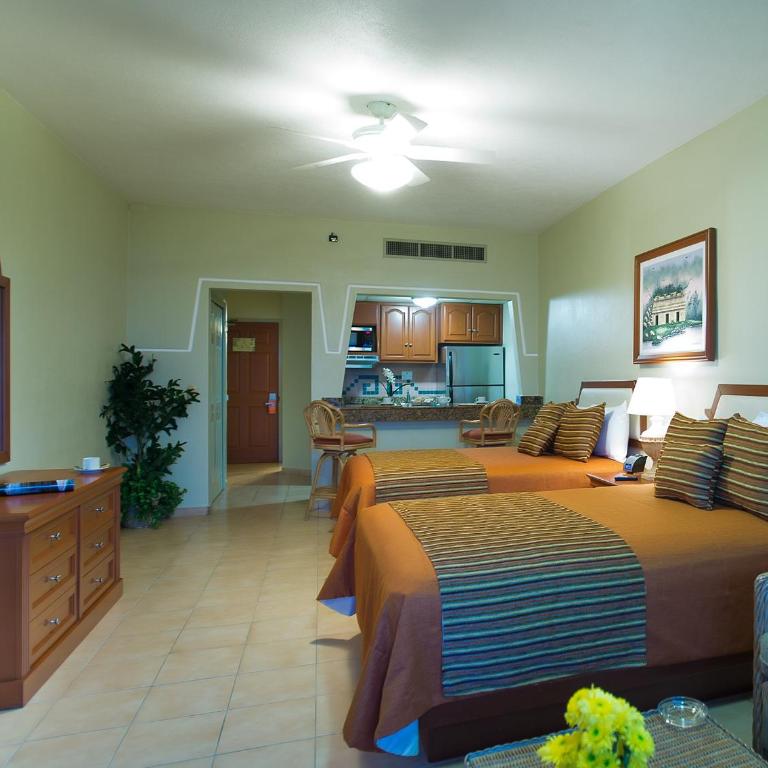 Paradise Village - Suite Estudio - 4