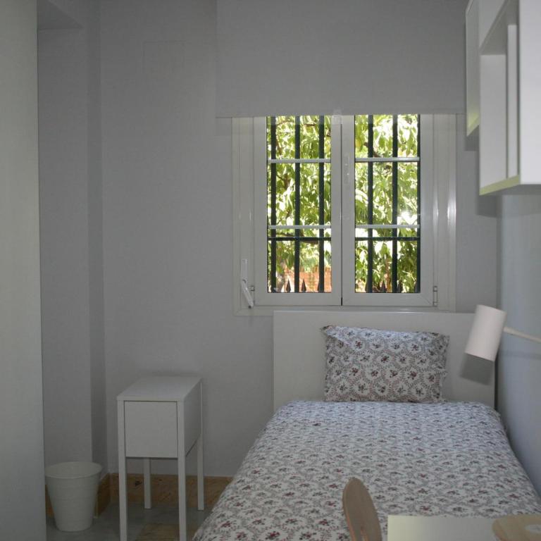 Colegio Mayor Careu - Women Only - University Community - Habitación Doble - 2 camas - 2